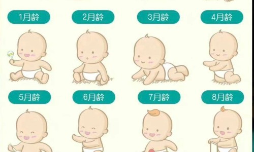 头型不好会影响智商吗-脑型不好看输什么头型网 - 网站提供什么样的脑型好看小常识、头脑不行的人什么样的