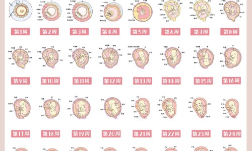 脑型不好看输什么头型网 - 网站提供什么样的脑型好看小常识、头脑不行的人什么样的