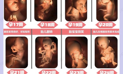 脑型不好看输什么头型网 - 网站提供什么样的脑型好看小常识、头脑不行的人什么样的