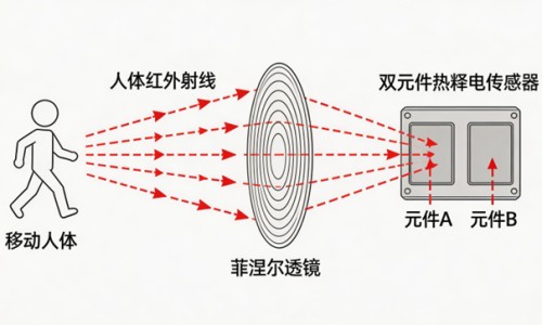 头型不好会影响大脑吗-脑型不好看输什么头型网 - 网站提供什么样的脑型好看小常识、头脑不行的人什么样的